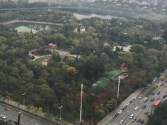-君悦酒店·乐厨·高空自助餐(青年大街店)