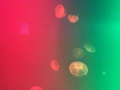 -福州罗源湾海洋世界旅游区