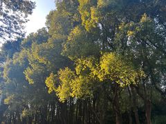 -世纪公园-世纪春沁园