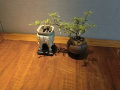 -王府茶楼茶宴·创意菜(朝阳公园店)