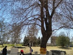 -西海子公园