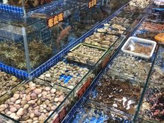 -江杨农产品批发市场
