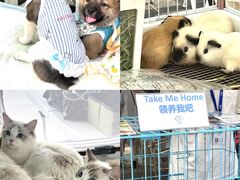 -老外街