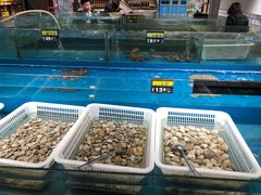 -谊品生鲜折扣店(伟清中环店)