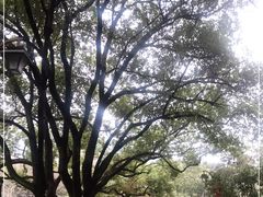 -杭州半山国家森林公园