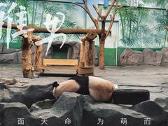 -秦皇岛野生动物园
