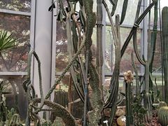 -郑州植物园