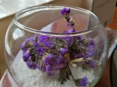 -The Lounge大堂酒廊·咖啡·沙拉·下午茶(金茂深圳JW万豪酒店)