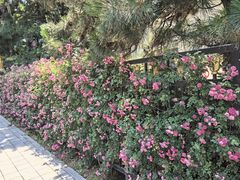-北京展览馆