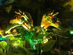 -恐龙探索乐园(磁器口店)