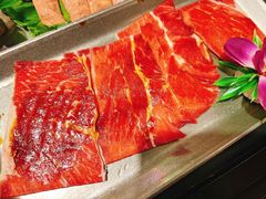 -杨记齐齐哈尔烤肉(逸仙路店)