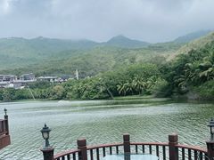 -三亚亚龙湾金棕榈度假酒店