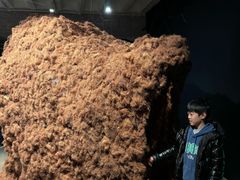 -现代汽车文化中心 Hyundai Motorstudio Beijing