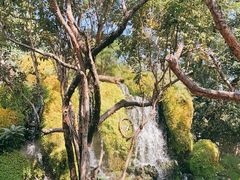 -Chom Cafe and Restaurant