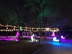 -枫花园汽车电影院(朝阳公园店)