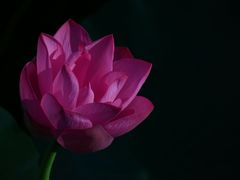 -陶然亭公园