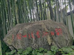 -上海醉白池公园