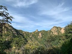 -大岭沟猕猴桃谷风景区
