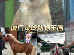 -灵玲国际马戏城