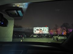 -枫花园汽车电影院(朝阳公园店)