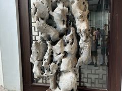 -苏州园林博物馆