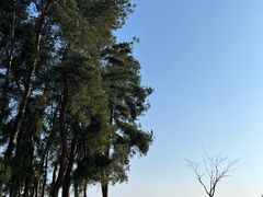 -云漫湖生态度假公园