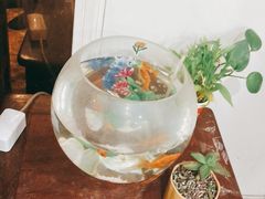 -裕和堂中医推拿艾灸(太古汇臻品店)