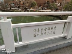-青枫公园