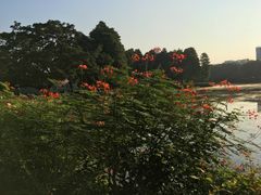 -广州都市观光巴士(粤陶巴)