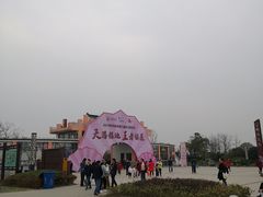 -天王浮山樱花园