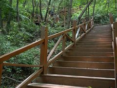 -大岭沟猕猴桃谷风景区
