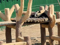 -沈阳森林动物园