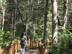 -汤旺河林海奇石景区