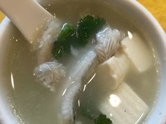 元茜豆腐鱼汤-鸿达渔港