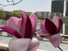 -西海子公园