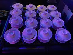 -贰麻酒馆(1912店)