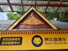 -西双版纳原始森林公园