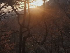 -崂山巨峰游览区