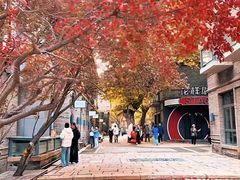 -绿地·中山里