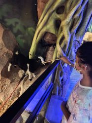 -酷嗒动物文化乐园(cutezoo西溪乐天城店)