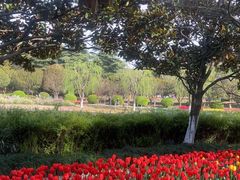 -上海鲜花港