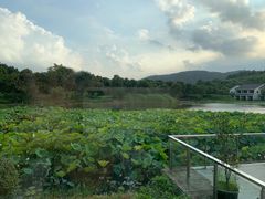 -苏州环秀晓筑养生度假村