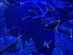 -成都浩海立方海洋公园