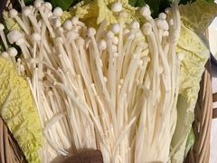 -同仁四季椰子鸡(福田东园总店)