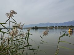 -野鸭湖国家湿地公园