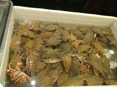 -三亚胜意海景酒店·海鲜自助餐厅(三亚湾路店)