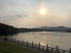 -佛手湖郊野公园