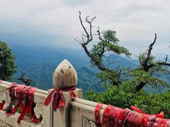 -青城山