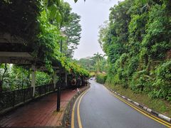 -花柏山公园