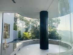 -南山植物园